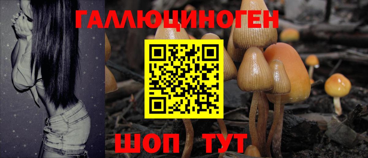 Галлюциногенные грибы прущие грибы  купить закладку  Аксай  Вход с VPN 